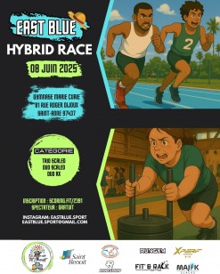 Hybrid Race avec East Blue