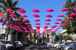 Octobre rose : 1 mois de mobilisation contre le cancer du sein !