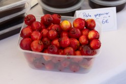 Le goyavier à l'honneur au marché paysan du mois de mai