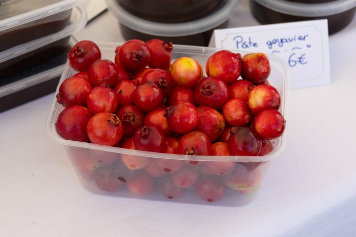 Le goyavier à l'honneur au marché paysan du mois de mai