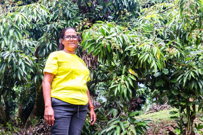 Fabiola et Jismy Ramdiale : la passion du letchi bio à Batardeau