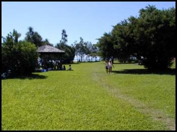 Les berges de la Rivière des Roches 