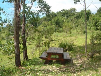 Forêt Sainte Marguerite