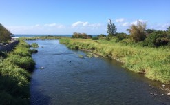Le nouveau PLU arrêté