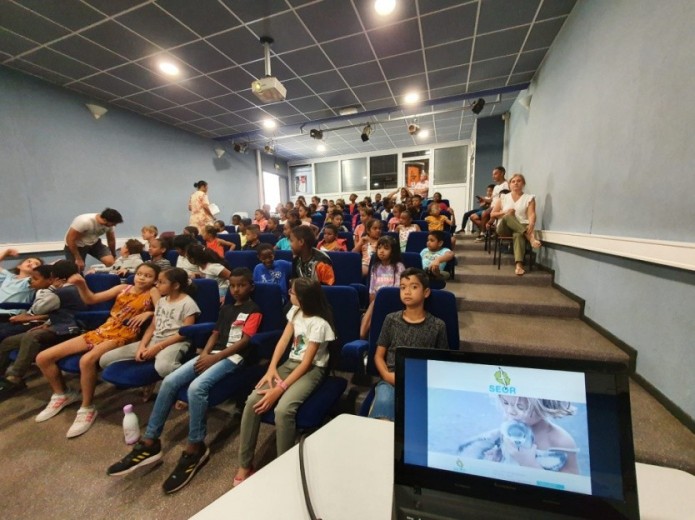 Échouage des pétrels : Sensibilisation et actions pédagogiques de la SEOR pour les scolaires