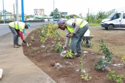 Les travaux d’embellissement ont débuté