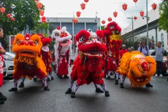 Festivités du Nouvel An Chinois 2025