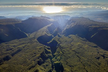 La forêt de Bébour